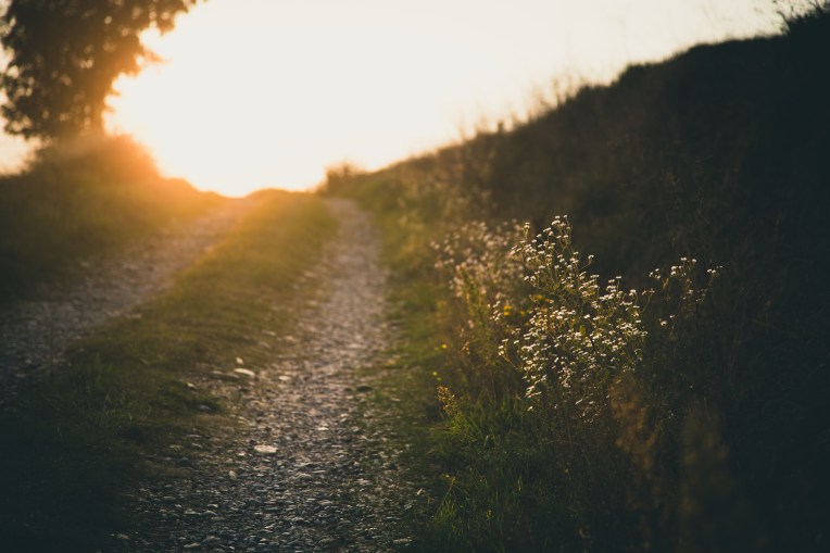 Road with Wildflowers by Francesco Gallarotti