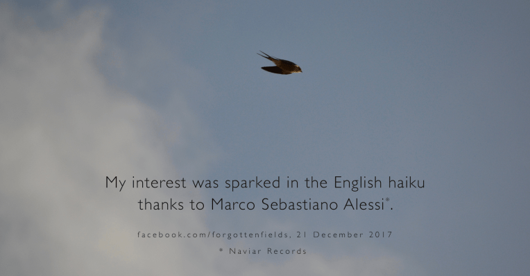 A swallow dashes across the sky.