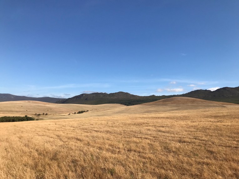 Landscape, 2 January 2018