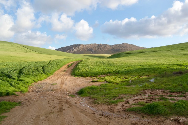 Through the Downs, 7 September 2018. Copyright 2018 Forgotten Fields. All rights reserved.