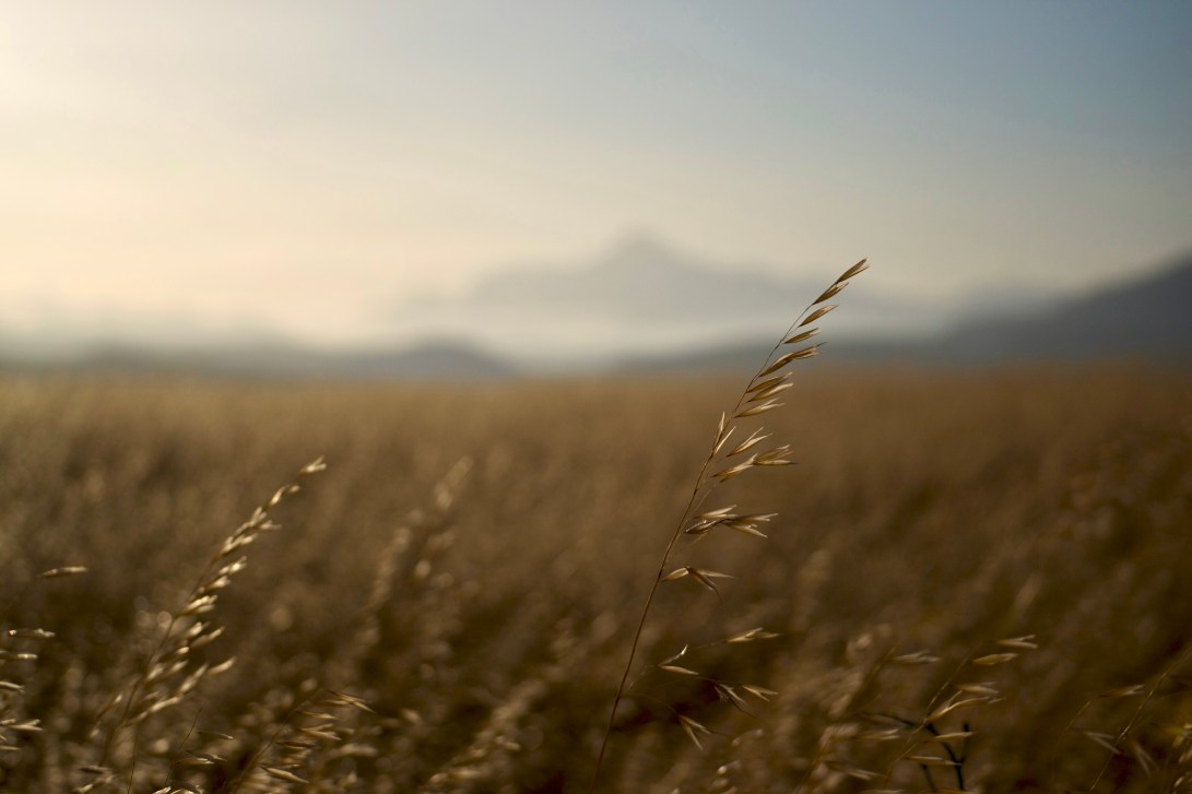 Babilonstoringberge, 25 October 2018. Copyright 2018 Forgotten Fields. All rights reserved.