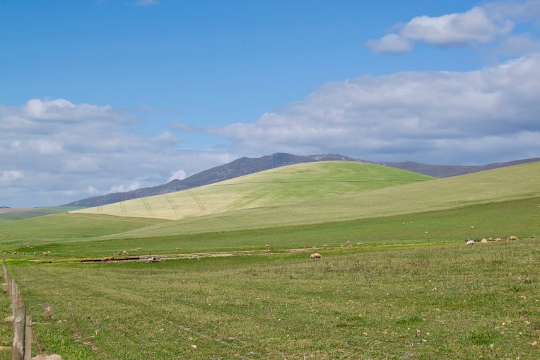 My Favourite Hillock in Early Spring, 13 September 2019. Copyright 2019 Forgotten Fields. All rights reserved.