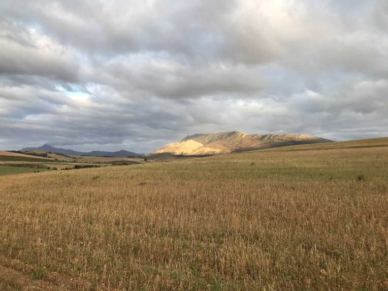 Steenboksberg Aglow, 17 November 2019. Copyright 2019 Forgotten Fields. All rights reserved.