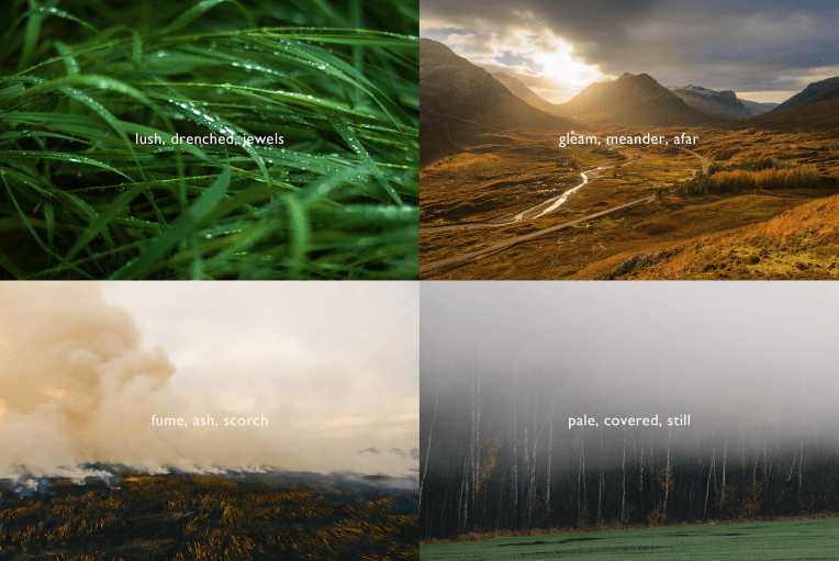 "Autumn" Mood Board, 16 December 2019. Copyright 2019 Forgotten Fields. All rights reserved.