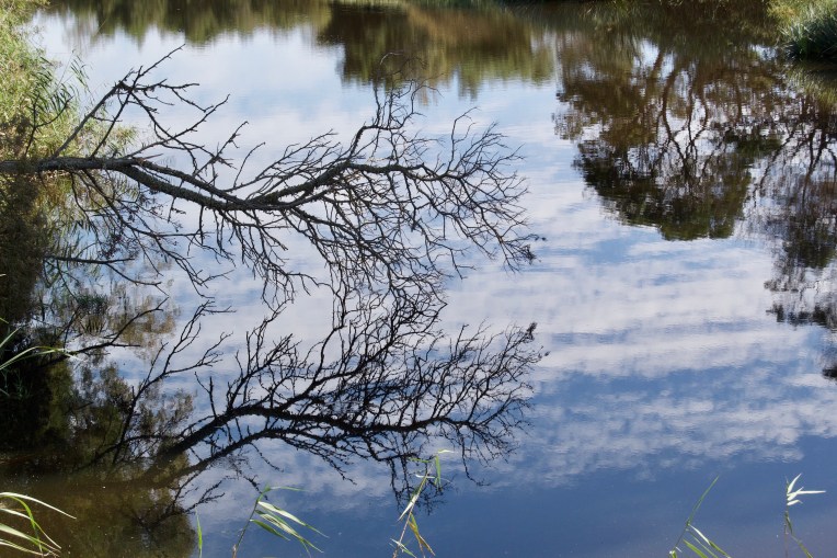 The Little River, 10 April 2020. Copyright 2020 Forgotten Fields. All rights reserved.
