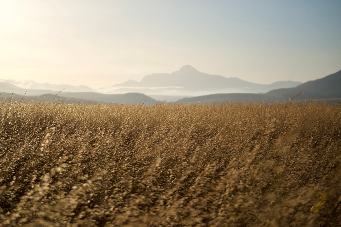Babilonstoringberge, 25 October 2018. Copyright 2018 Forgotten Fields. All rights reserved.