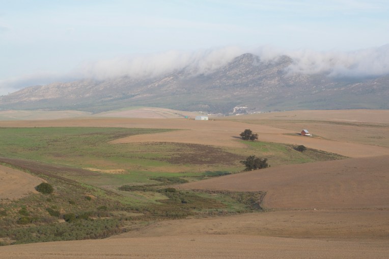 Mist Above Bethoeskloof, 5 June 2020. Copyright 2020 Forgotten Fields. All rights reserved.