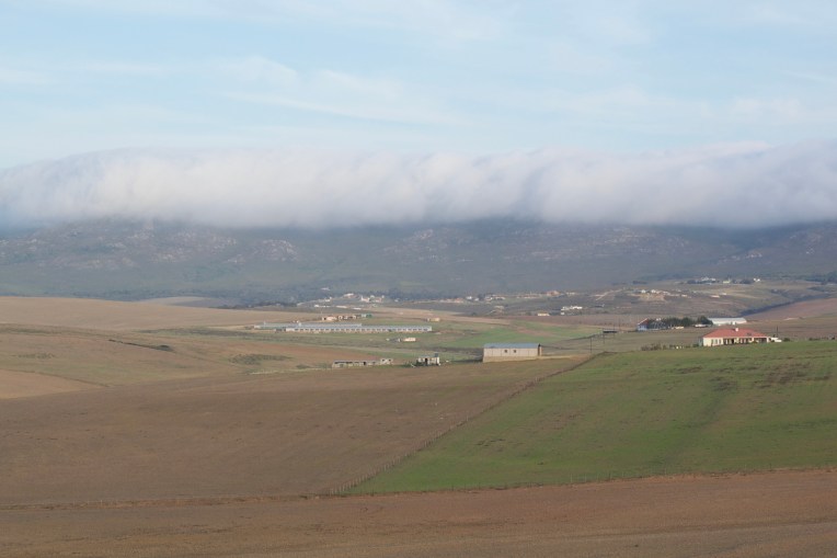 Mist Above Bethoeskloof, 5 June 2020. Copyright 2020 Forgotten Fields. All rights reserved.