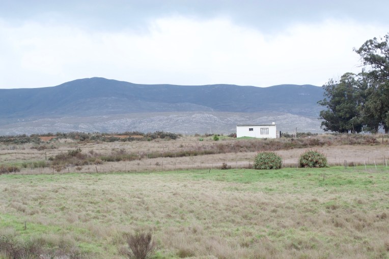 Diepgat Cottage, 12 June 2020. Copyright 2020 Forgotten Fields. All rights reserved.