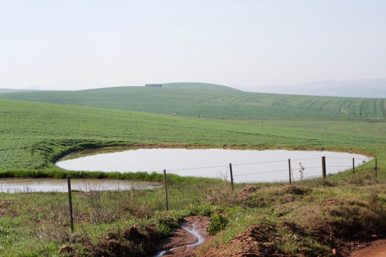 A Dam in the Still, 25 July 2020. Copyright 2020 Forgotten Fields. All rights reserved.