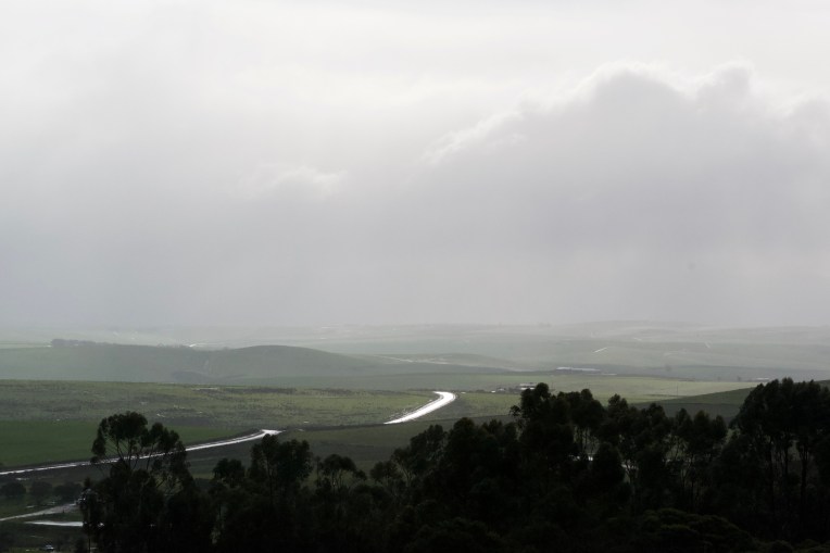 A Radiant Road in the Rain, 13 July 2020. Copyright 2020 Forgotten Fields. All rights reserved.
