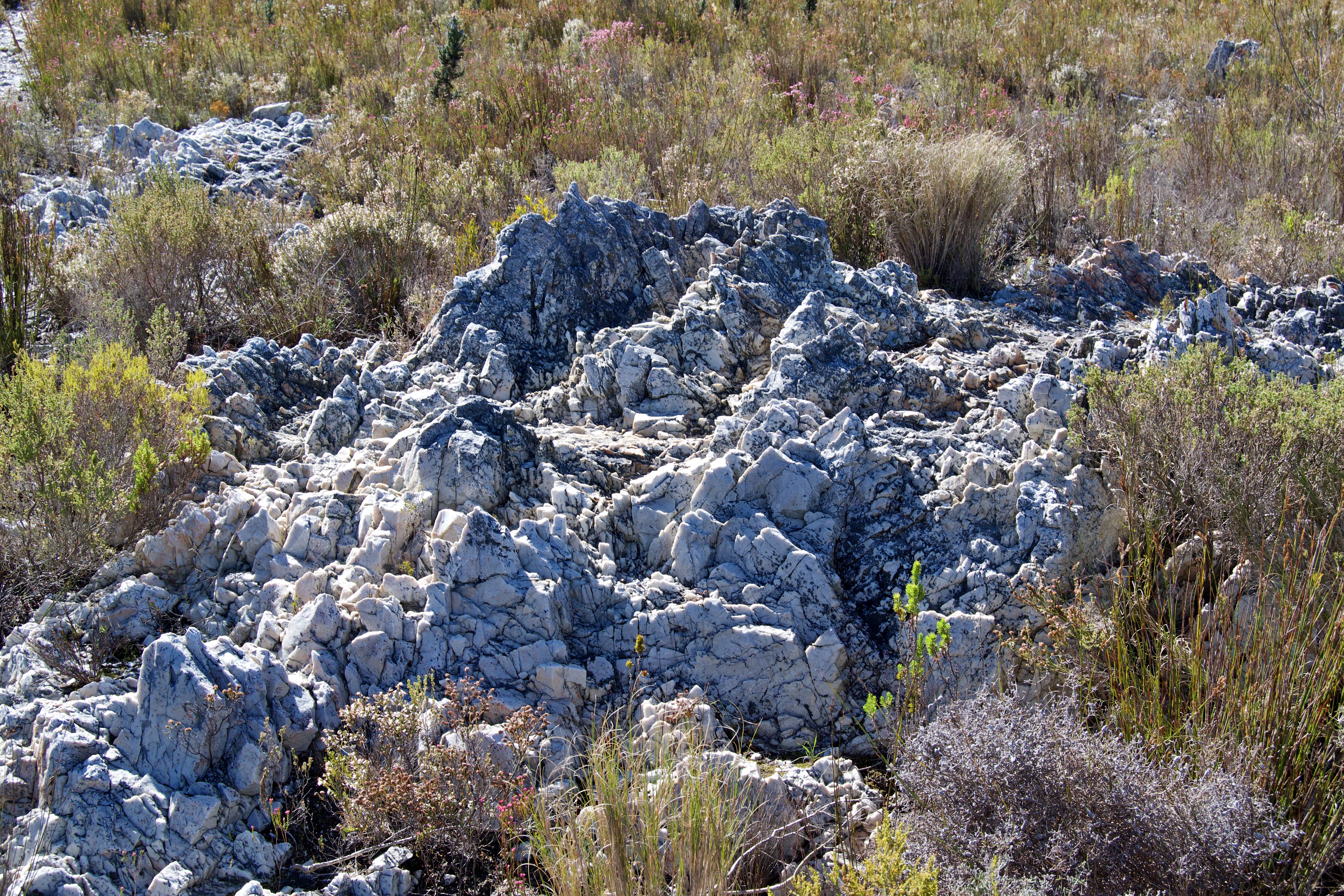 Rock Formations of the Kleinriviersberge, 21 August 2020. Copyright 2020 Forgotten Fields. All rights reserved.