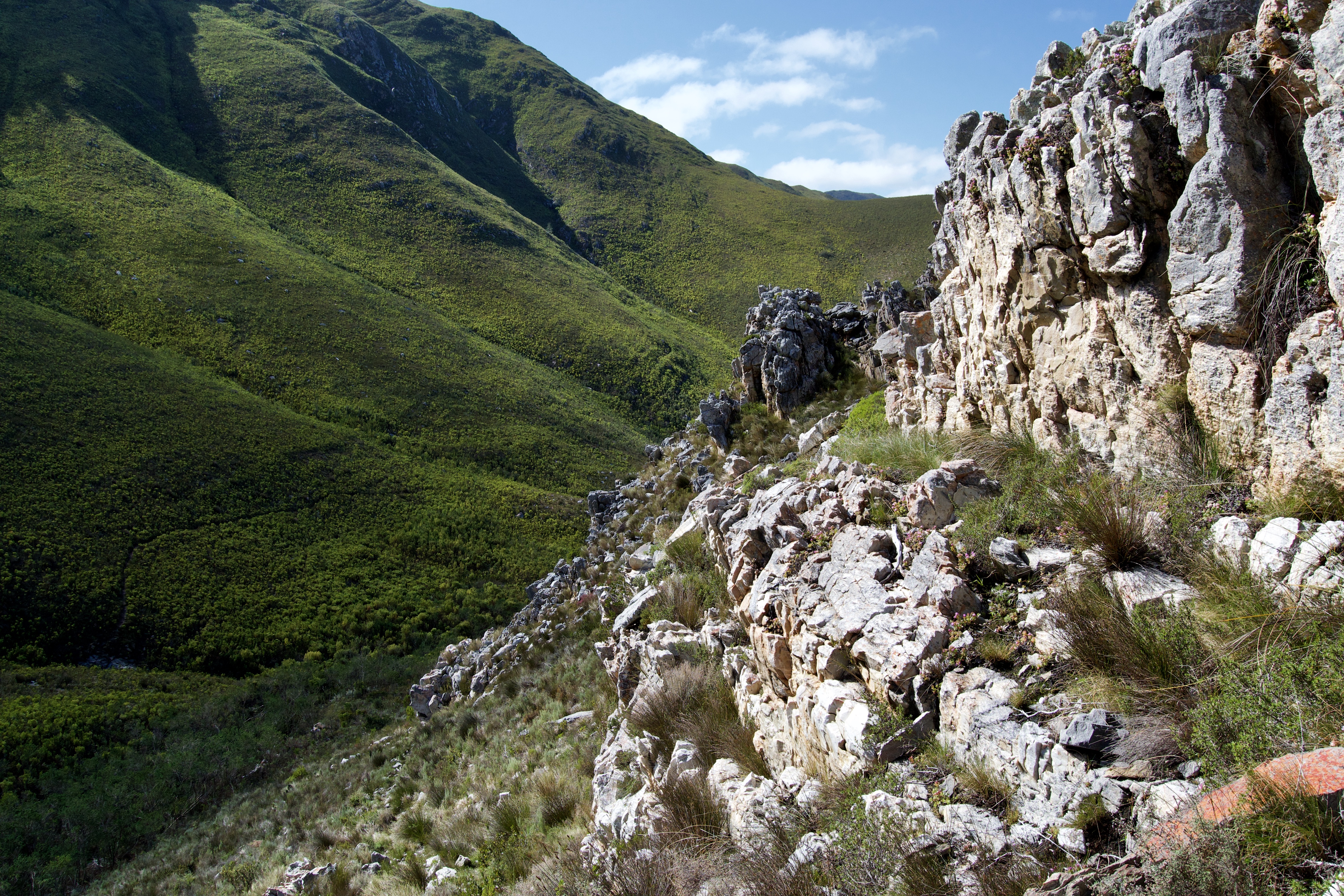 Rock Formations of the Kleinriviersberge, 21 August 2020. Copyright 2020 Forgotten Fields. All rights reserved.