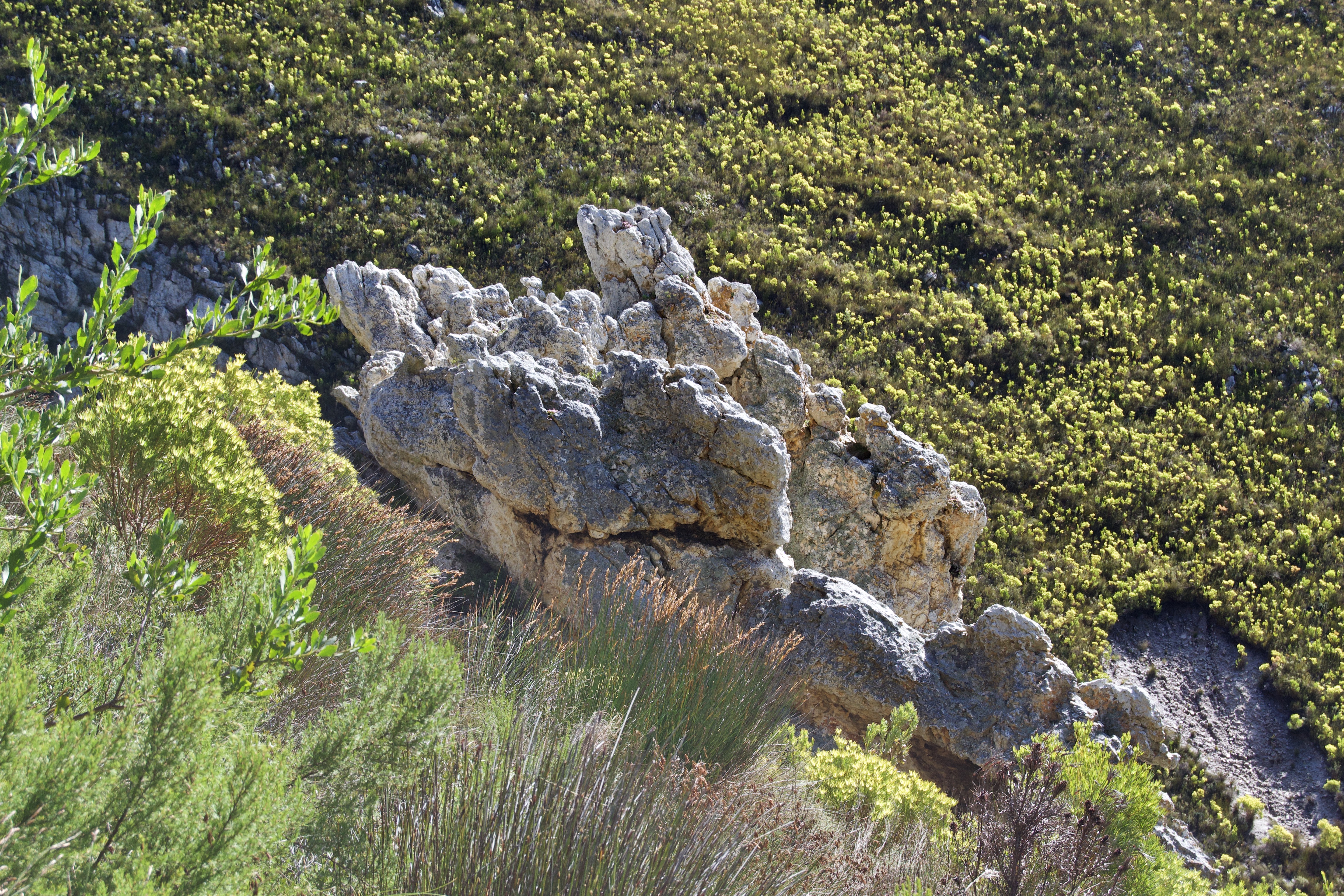 Rock Formations of the Kleinriviersberge, 21 August 2020. Copyright 2020 Forgotten Fields. All rights reserved.