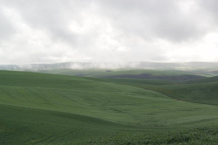 Mist on the Hills in Late Winter, 21 August 2020. Copyright 2020 Forgotten Fields. All rights reserved.