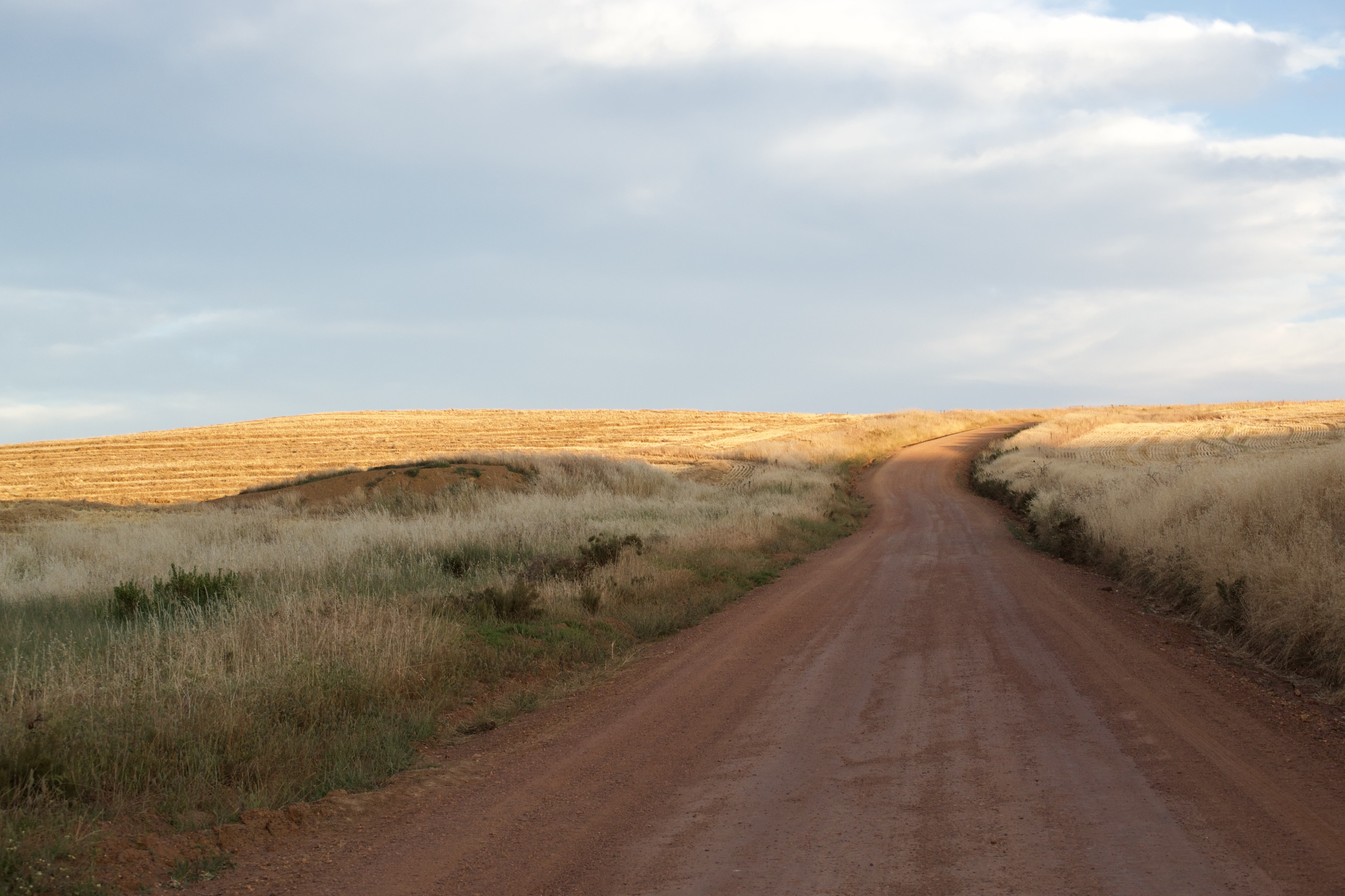 Rhebok Road, 13 November 2020. Copyright 2020 Forgotten Fields. All rights reserved.
