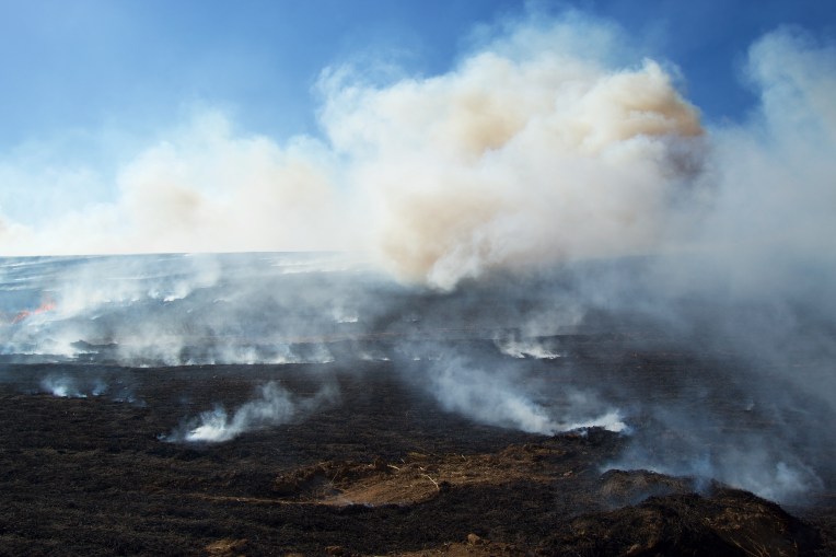 Stubble Fire, 23 April 2021. Copyright 2021 Forgotten Fields. All rights reserved.