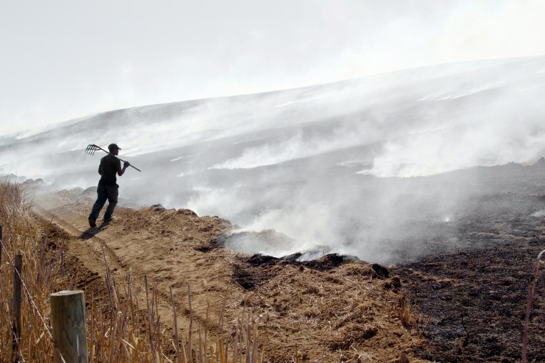 Stubble Fire, 23 April 2021. Copyright 2021 Forgotten Fields. All rights reserved.