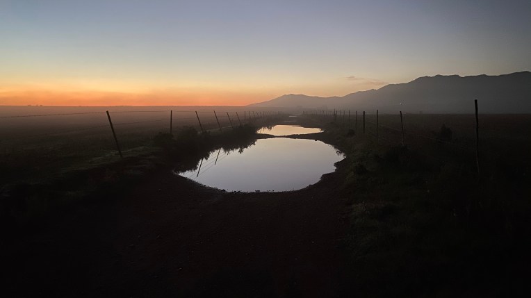Puddles at Dawn, 19 May 2021. Copyright 2021 Forgotten Fields. All rights reserved.
